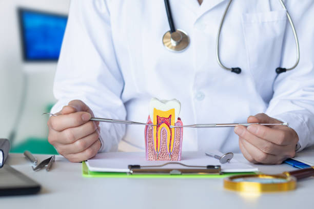 Best Emergency Tooth Extraction in Fairfax Station, VA